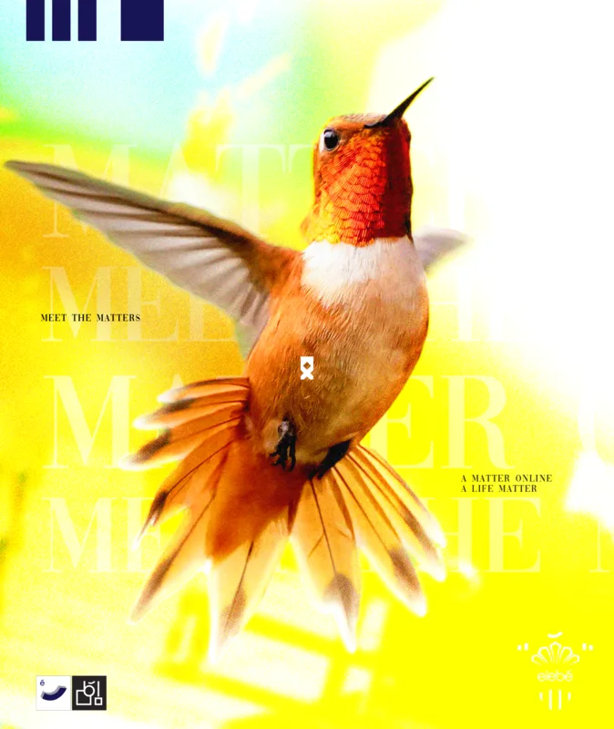 Poster: a hummingbird in mid-hover against a yellow field, over the words Meet the Matters.