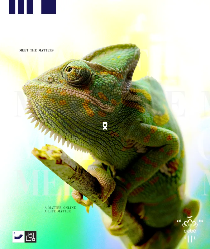 Poster: a chameleon gripping a branch against a pale green wash, over the words Meet the Matters.