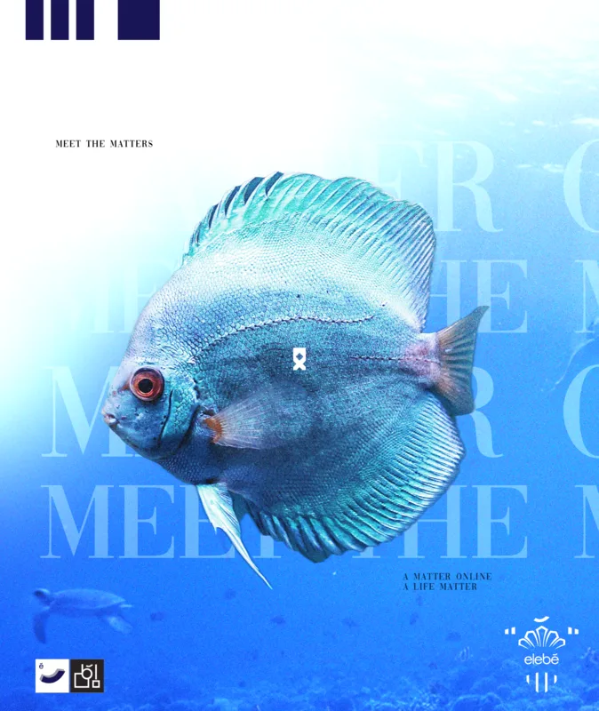 Poster: a blue discus fish suspended in deep water, over the words Meet the Matters.